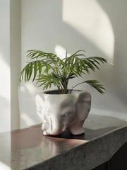 Cache-pot éléphant céramique vintage