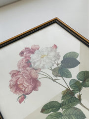 Lithographie rosier cadre en bois doré vintage