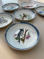 Six coupelles oiseaux