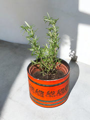 Cache-pot céramique orange