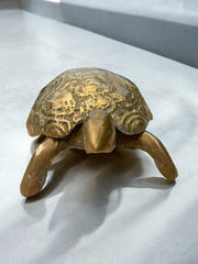 Vide poche tortue en laiton