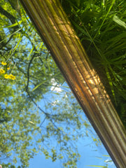 Grand miroir arche doré