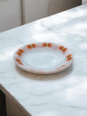 2 grandes assiette Schott Mainz motif oeil de paon