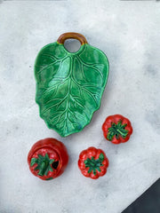 Sel et poivres tomate en barbotine