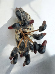 Piques apéro canard