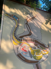 Ancienne carte d’anatomie