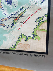 Ancienne carte scolaire Asie montée sur bois