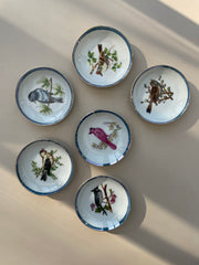 Six coupelles oiseaux