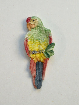 Perroquet vide poche, Italie, circa 1960