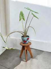 Tabouret années 50 pieds obliques