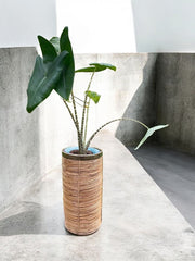 Grand et ancien porte parapluie/plante rotin laiton