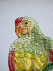 Perroquet vide poche, Italie, circa 1960