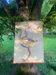 Ancienne carte d’anatomie