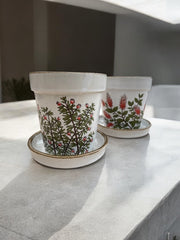 Petits cache-pot motif botanique en grès