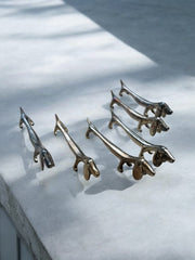 6 portes couverts teckels