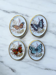 Série de quatre médaillons céramique motif papillon bord doré
