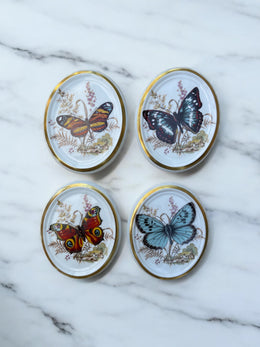Série de quatre médaillons céramique motif papillon bord doré