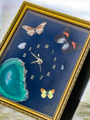 Cadre horloge papillons style cabinet de curiosités
