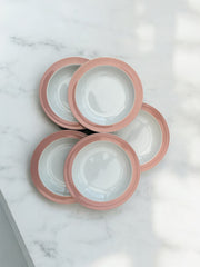 5 grandes assiettes creuses roses pastel Boch Frères