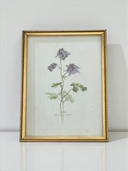 Cadre fleur sauvage doré