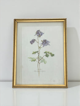 Cadre fleur sauvage doré