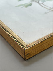 Cadre fleur sauvage doré