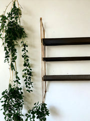 Étagère noire et dorée