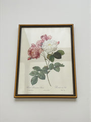 Lithographie rosier cadre en bois doré vintage