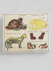 Ancienne carte scolaire singe/chat